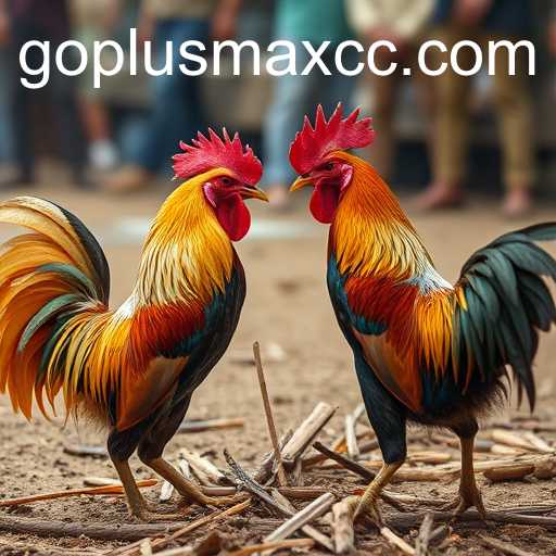 The Intricacies and Controversies of Cockfighting with GOPLUSMAX
